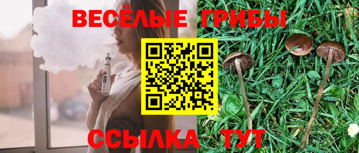 Псилоцибиновые грибы Cubensis  купить наркотики цена  Галлюциногенные грибы ЛСД  Лянтор  Вход с VPN 