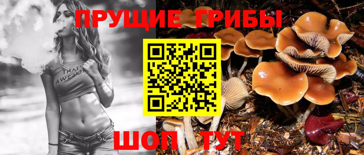Галлюциногенные грибы GOLDEN TEACHER Лянтор